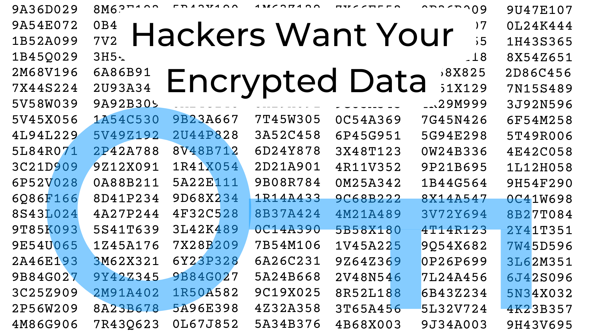 Hackers Want Your Encrypted Data